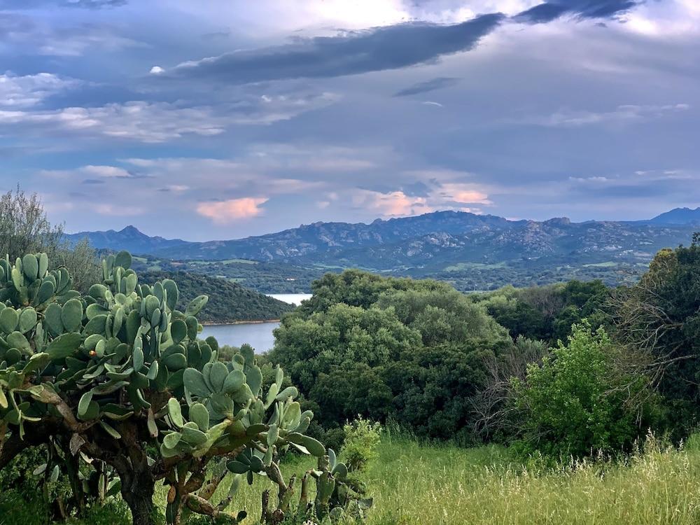 圣安托尼奥迪加卢拉 Liscia Country Relais旅馆 外观 照片